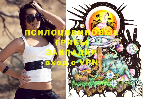 крисы Алексеевка