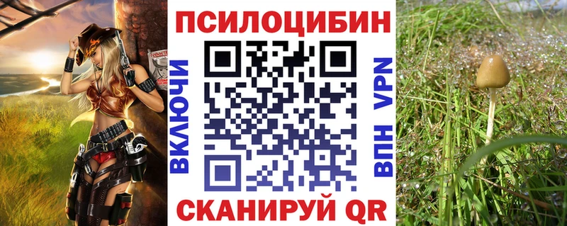 наркотики Череповец OMG ССЫЛКА Галлюциногенные грибы ЛСД